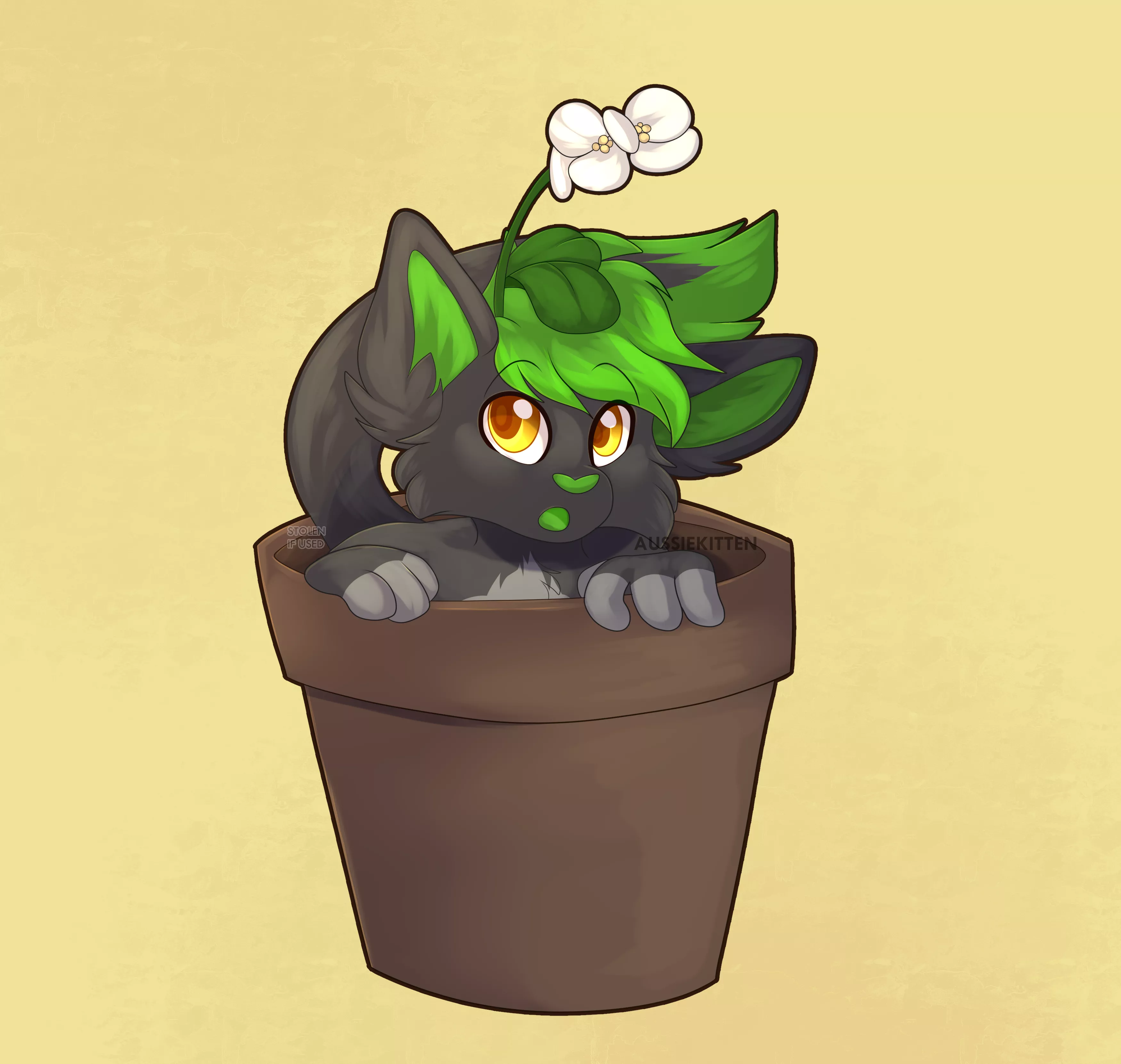 Flower catto 🌱🌼🐱| [Art by me @aussie_kitten | Comm for Colin]