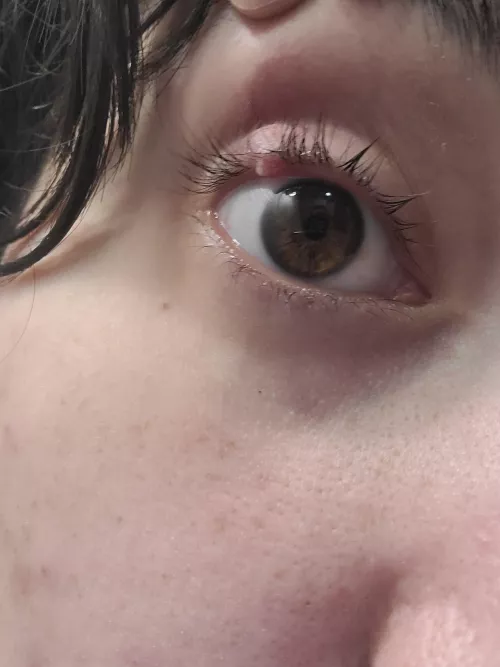 Forbidden Pop :( 2 months