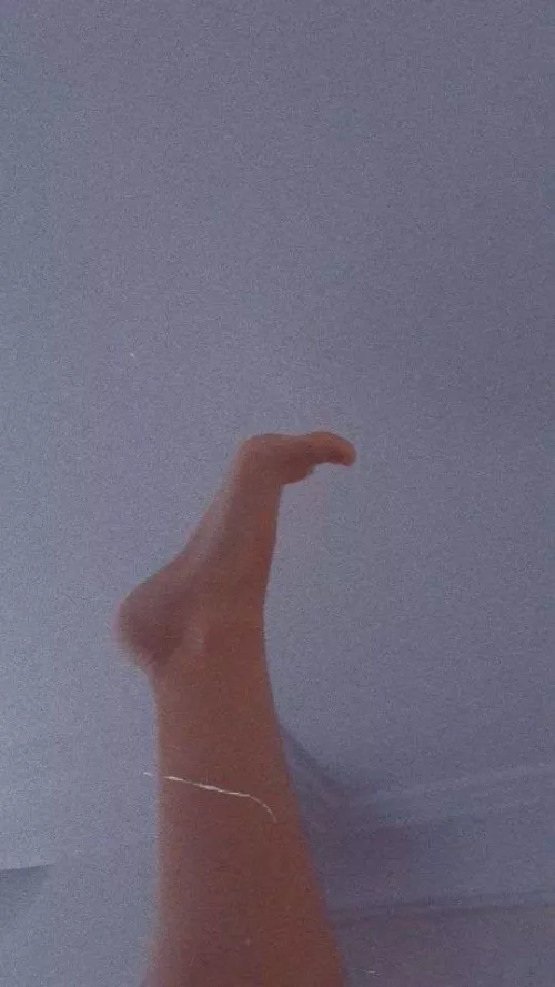 Fuck my feet?~ (Dms open)
