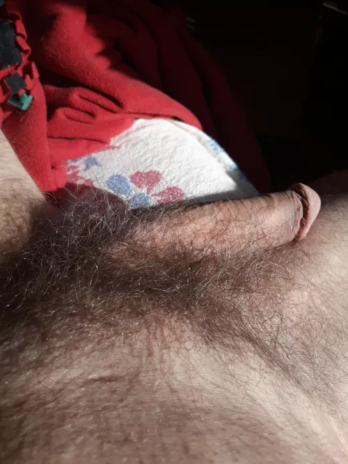 getting alot of grey.. what color should I do.. medium brown.. dark brown.. black ??