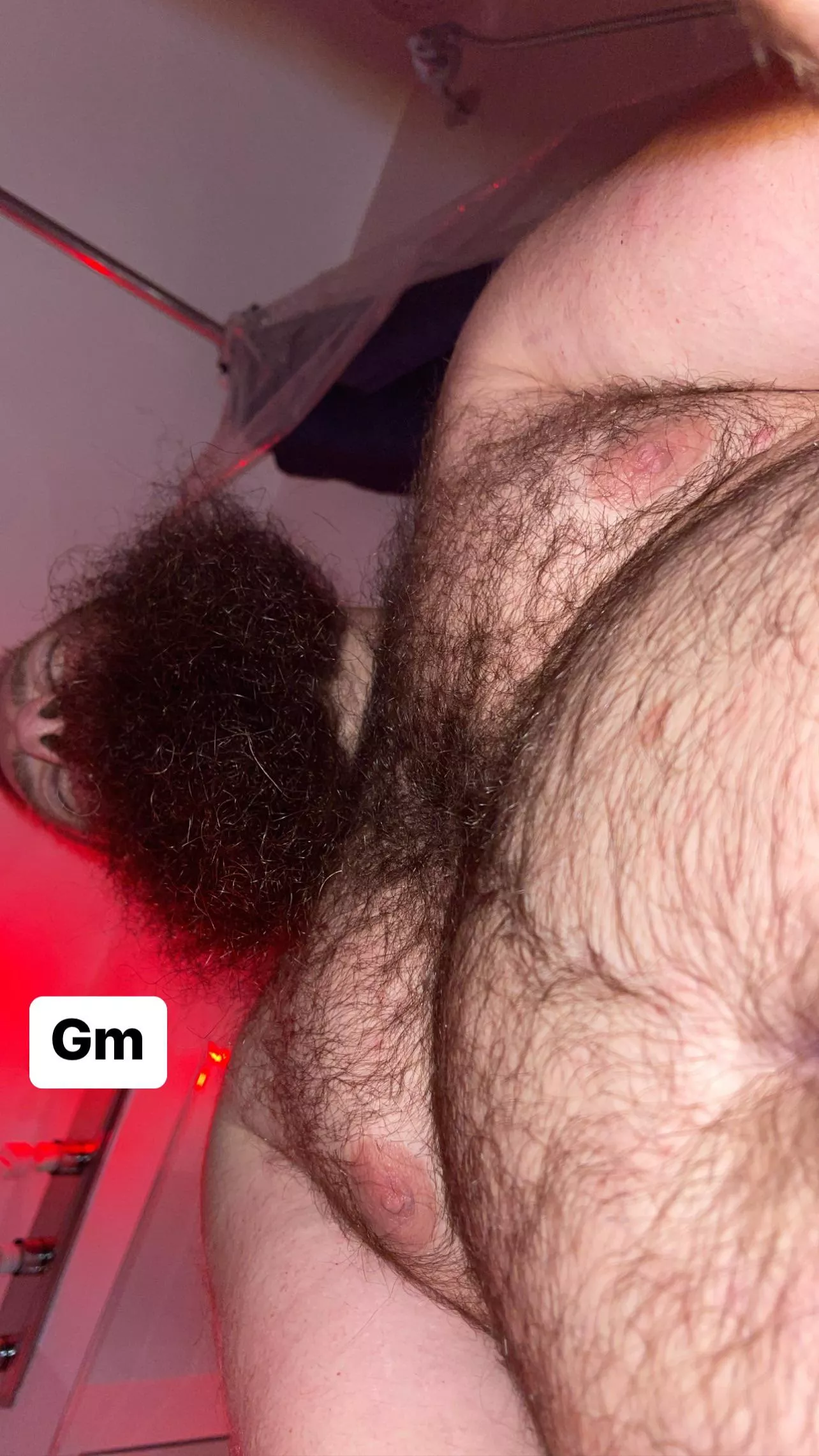 Good mornin bear lovers