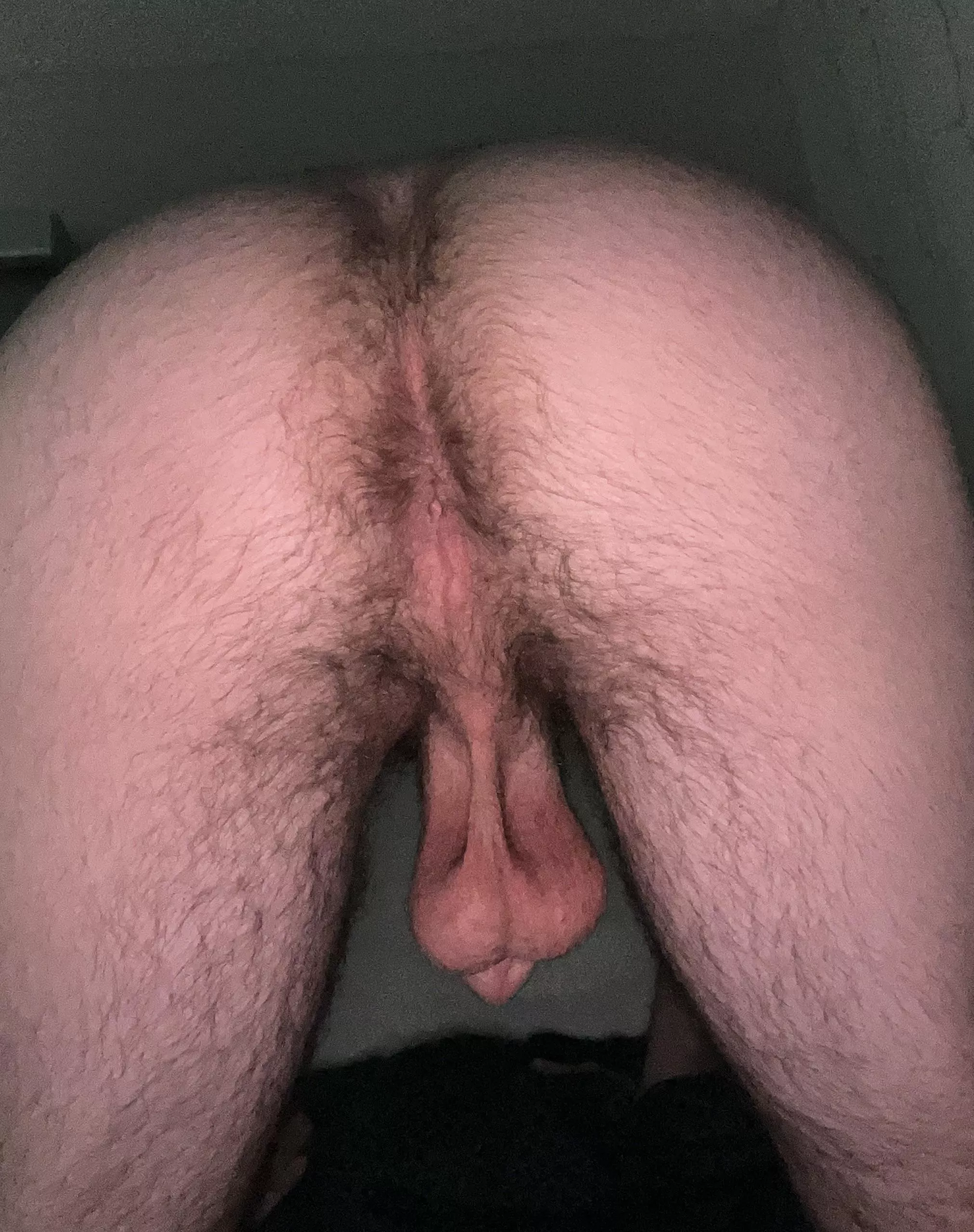 Hope you like hairy