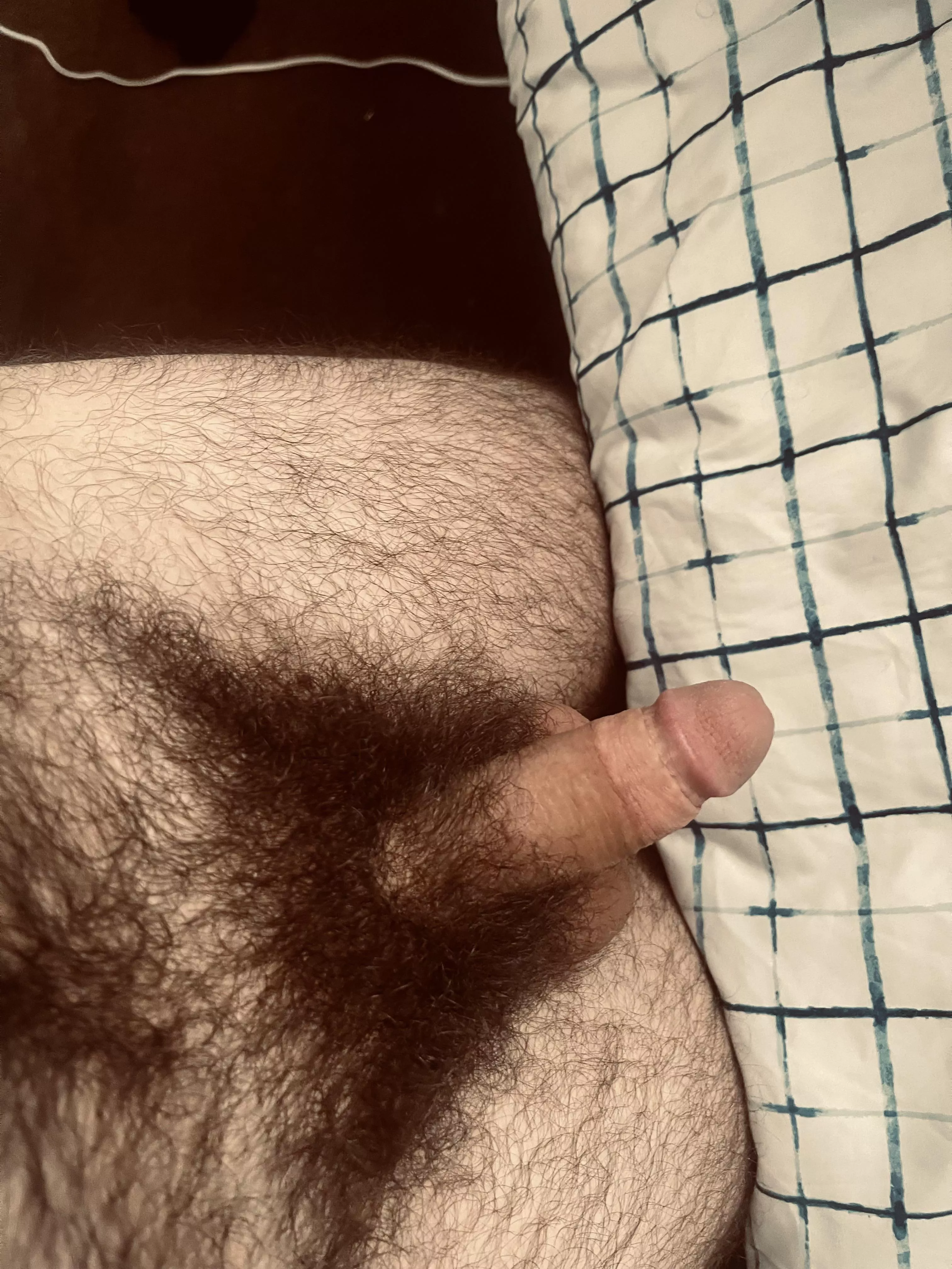 If you count my stomach, it’s almost like a double bush!