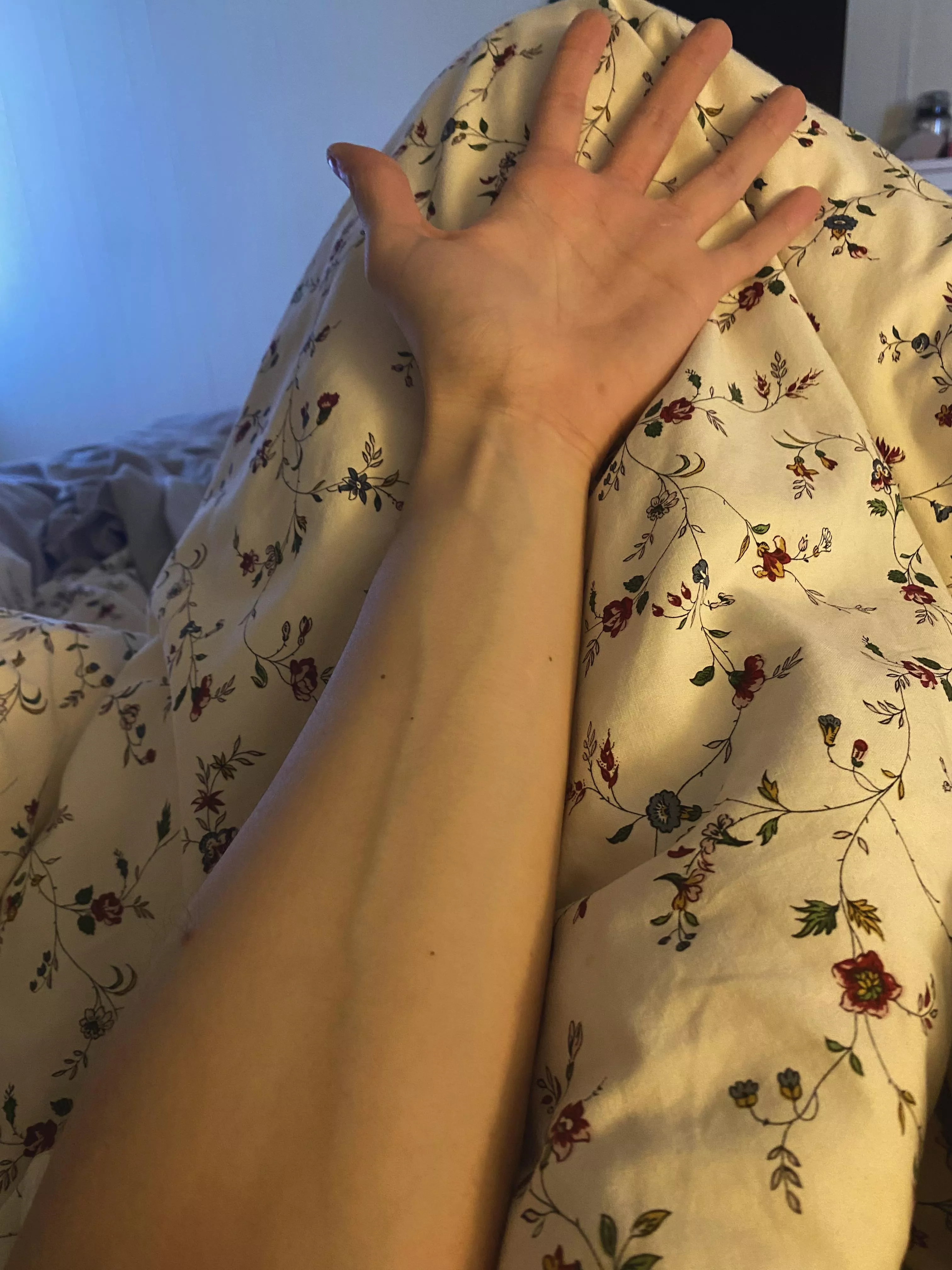 I’m feeling a lazy Sunday