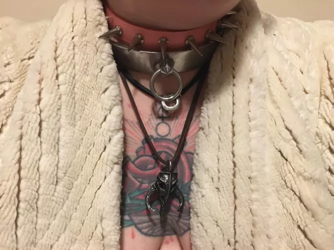 New collar from my Master… pretty in pink