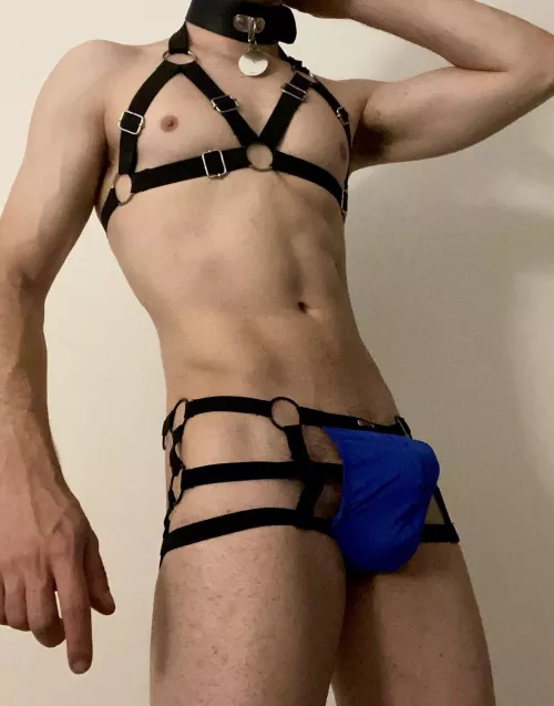 New jockstrap and harness make a sexy combo