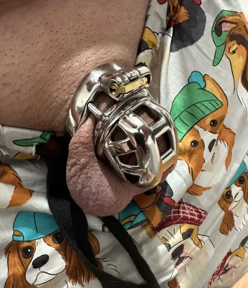 New smaller and stronger cage turned up. Don’t think I’ll be breaking this one anytime soon 😈😈