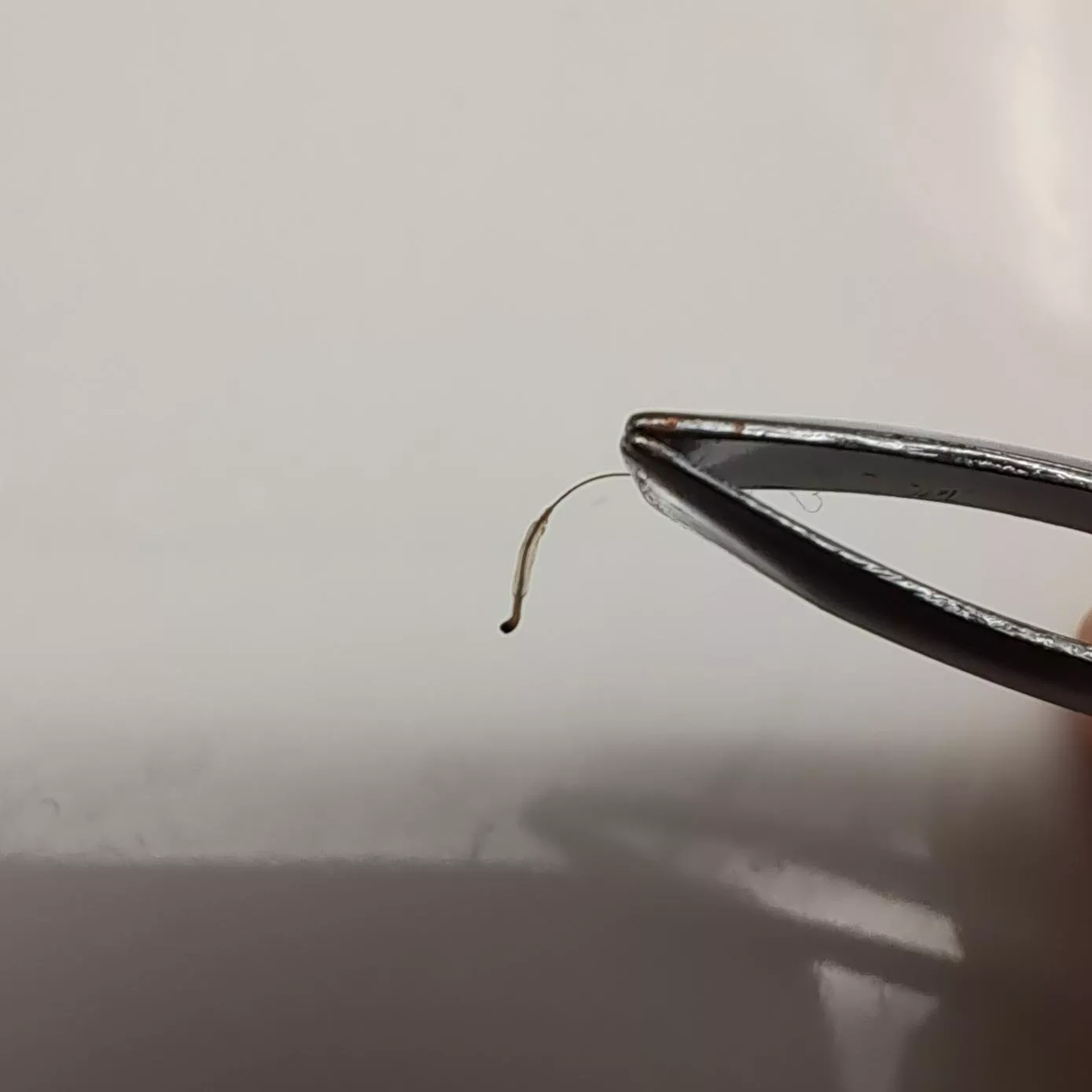 plucking some hairs right now and some of them seriously hurt