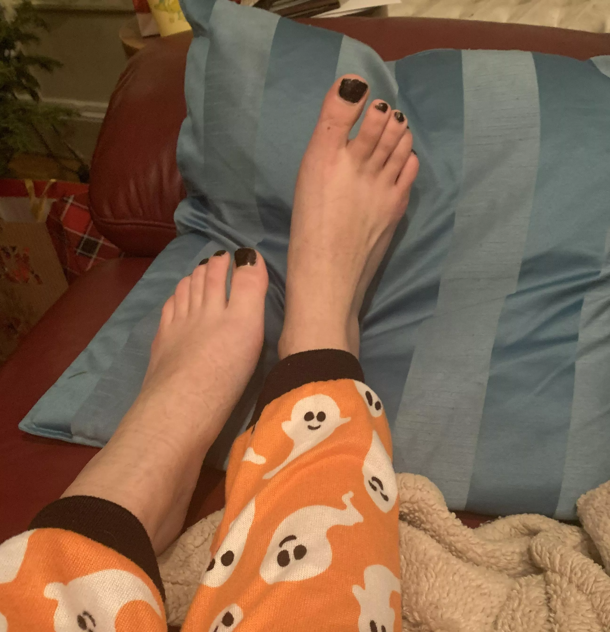 Propped up on a pillow