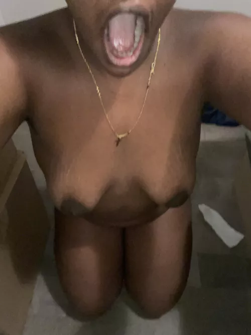 Ready for white cock