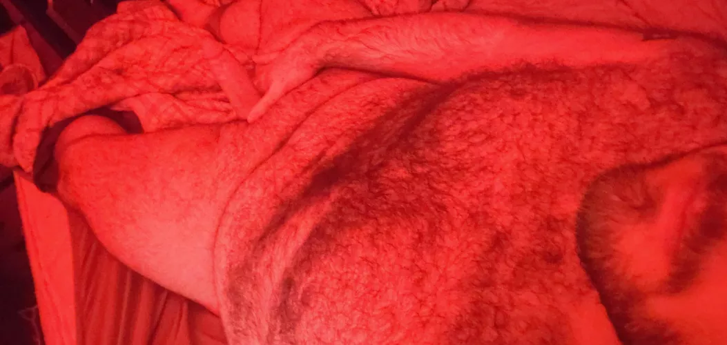 Red lights and body hair work great together