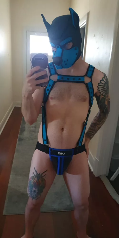 Reporting for belly rubs 💙