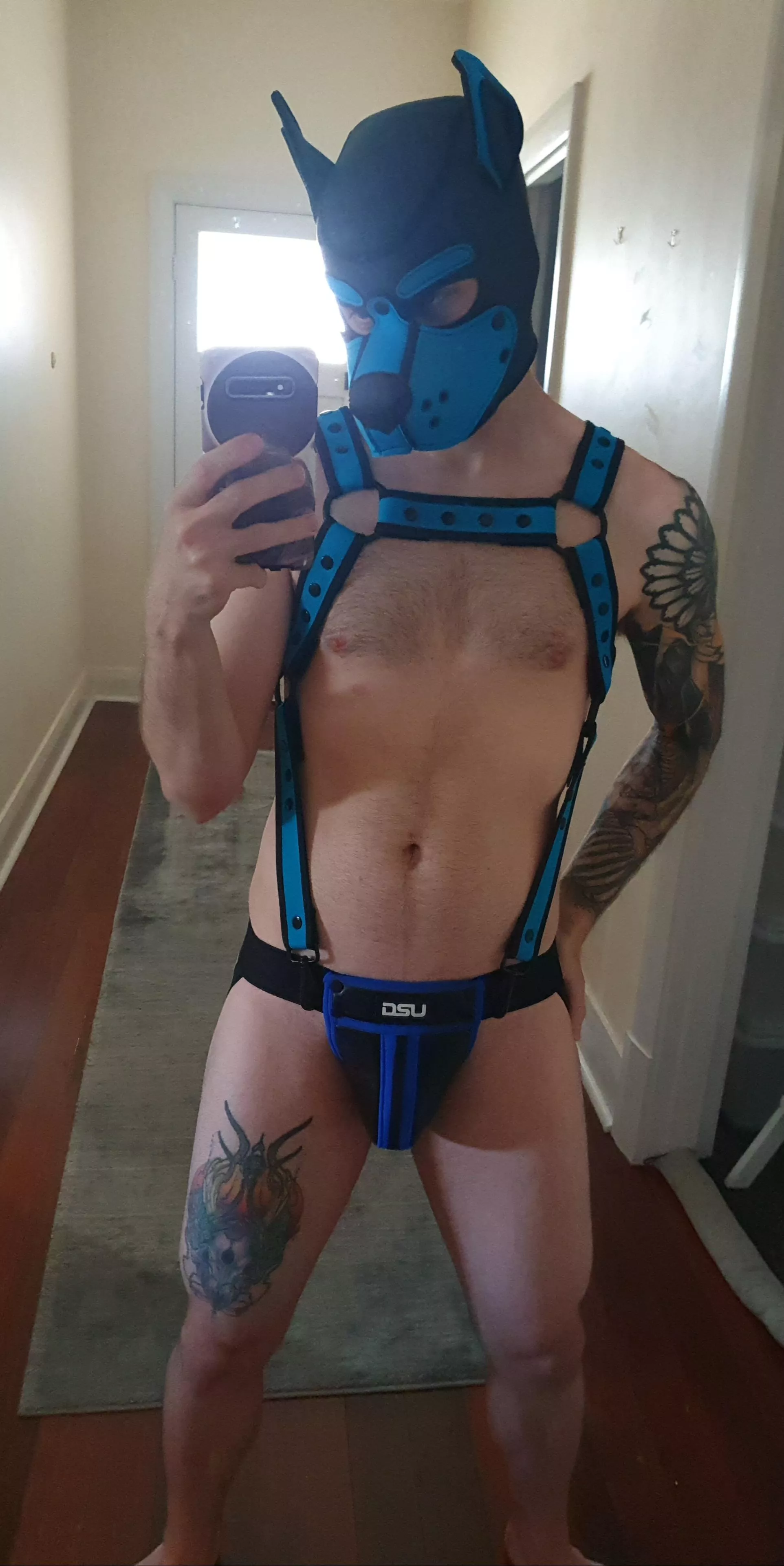 Reporting for belly rubs 💙