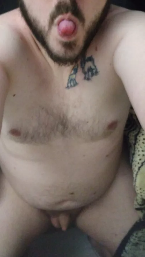 searching for cuddle