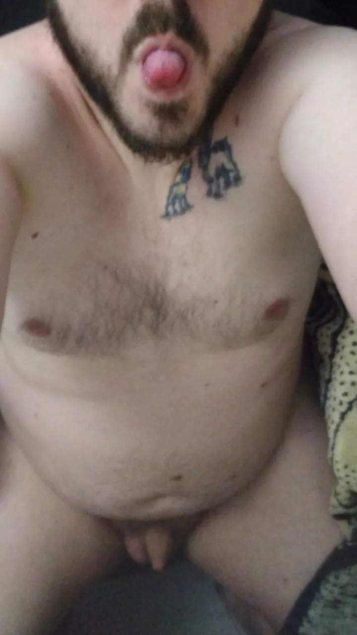 searching for cuddle