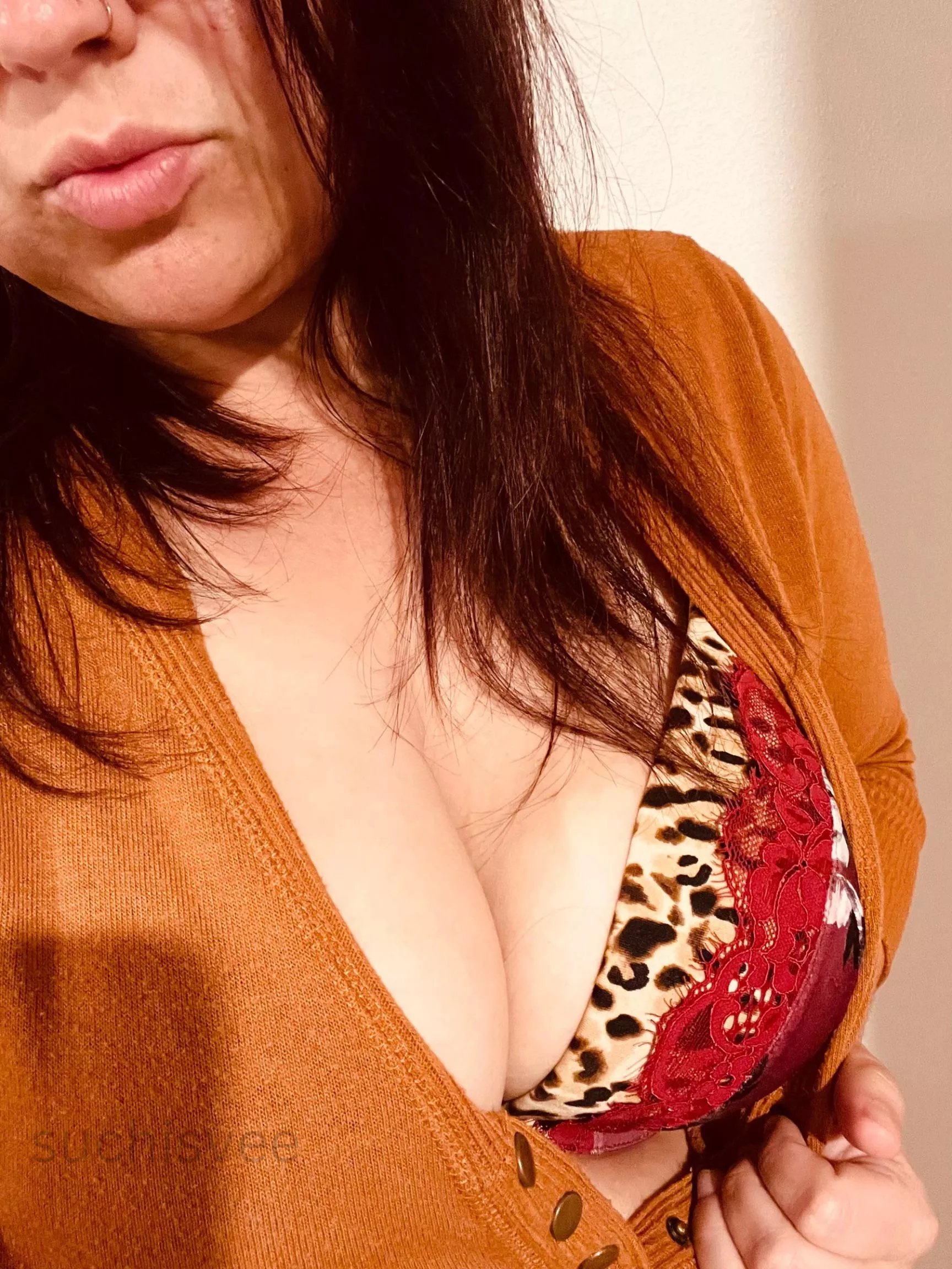 Should this librarian let out more of my wild side?