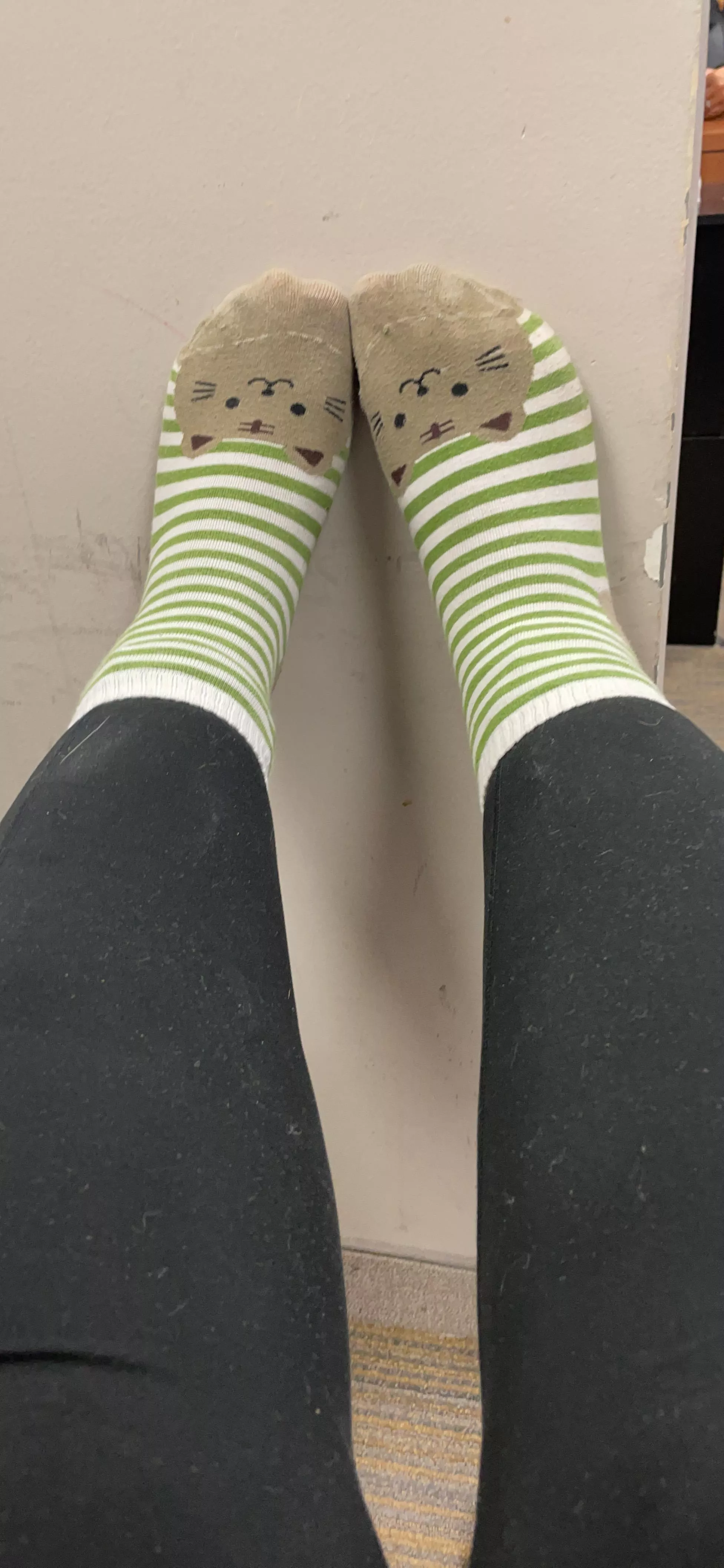 Stinky, smelly, kitty cat socks! Theyre a favorite I’ve had for years and they make me sweat between my toes. A pleasure to sniff!