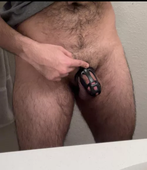 What do you think about my new cage?