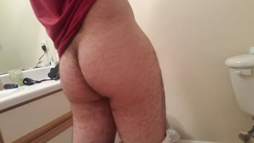 Would someone breed me?