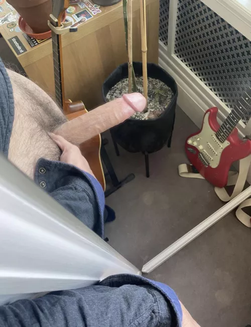 would you suck the head?