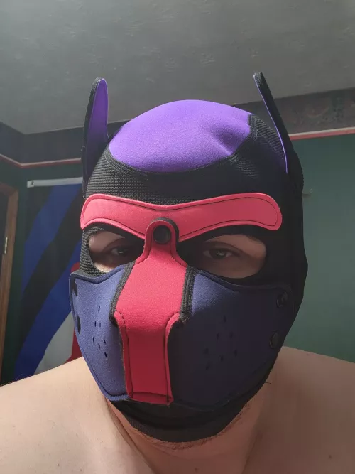 wruuufff! it's my 20th cake day irl