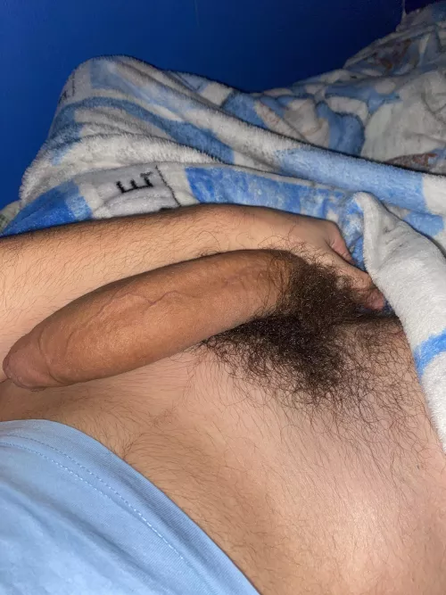 18 looking for big young cocks snap/telegram:notpakatall