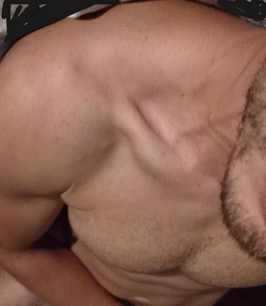 25 m croatia, hung muscled ass into everything, hmu d_shyer2