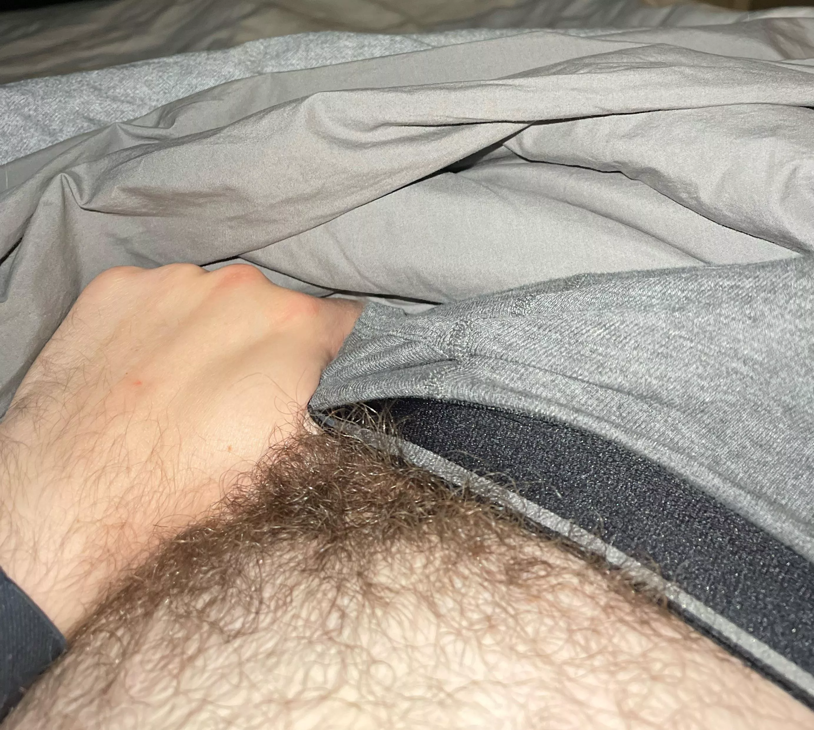 29 hairy verbal bro seeking stroke buds- oldestcitywaves