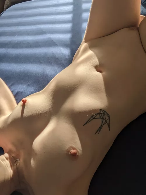 A Cups in gorgeous sun lighting