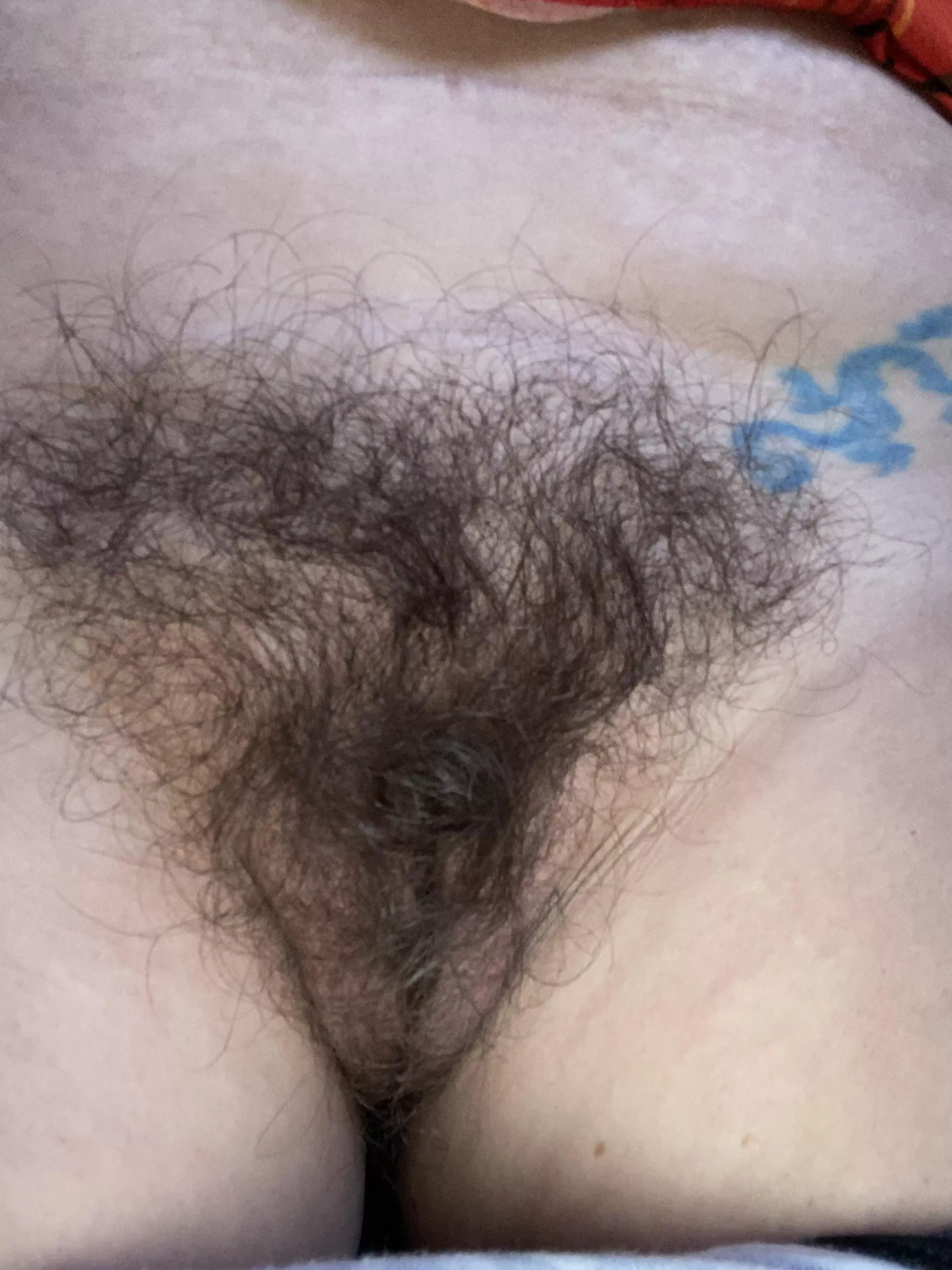 All natural mom pussy