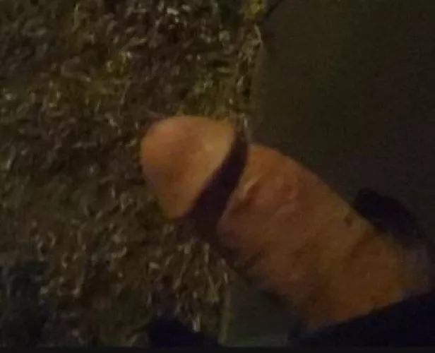 almost got caught by the neighbors, I wish I was...