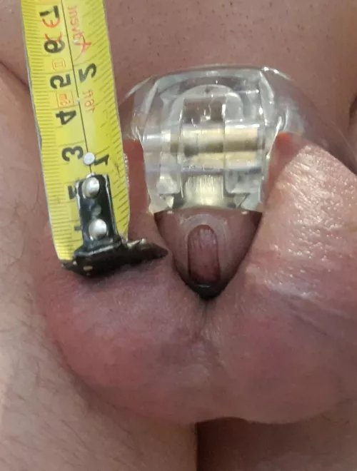 And the tape measure says.....