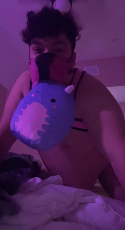 Awruff. Puppy got a new toy today!