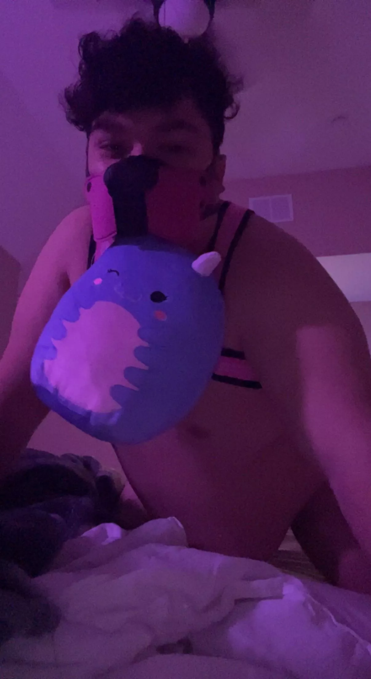 Awruff. Puppy got a new toy today!