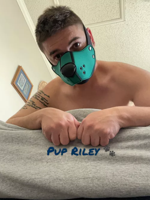 Awruff!! Ruff!! Just a little inspirational bark to start the week! Remember to be kind to yourself - this world can be harsh enough.