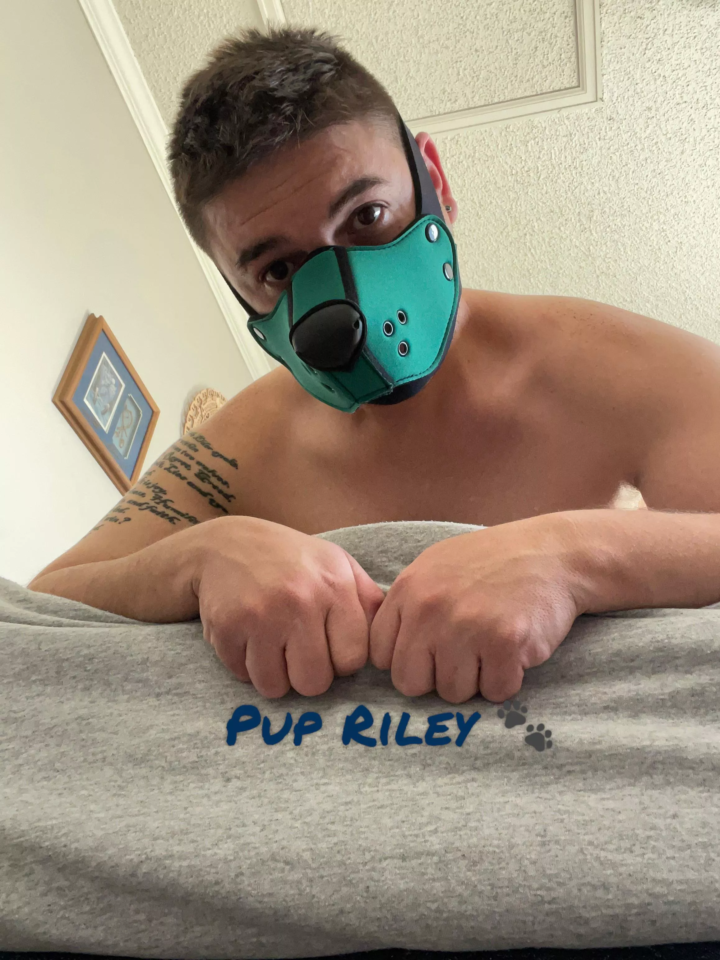 Awruff!! Ruff!! Just a little inspirational bark to start the week! Remember to be kind to yourself - this world can be harsh enough.