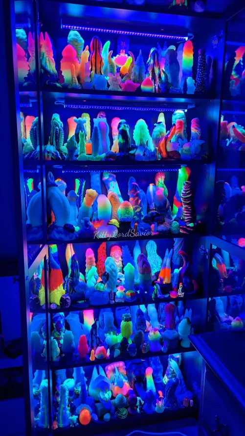 basking in the gentle glow...