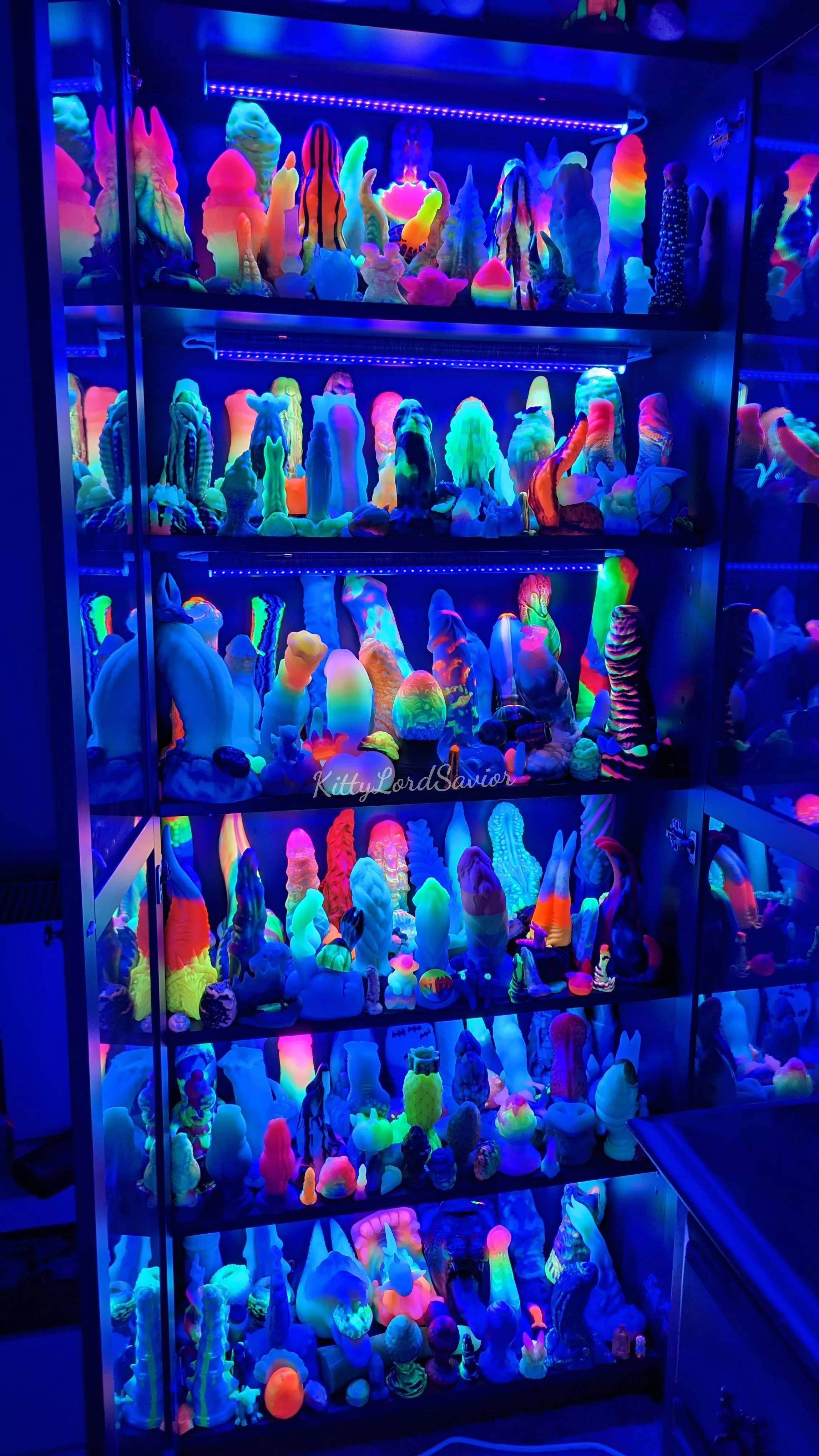 basking in the gentle glow...