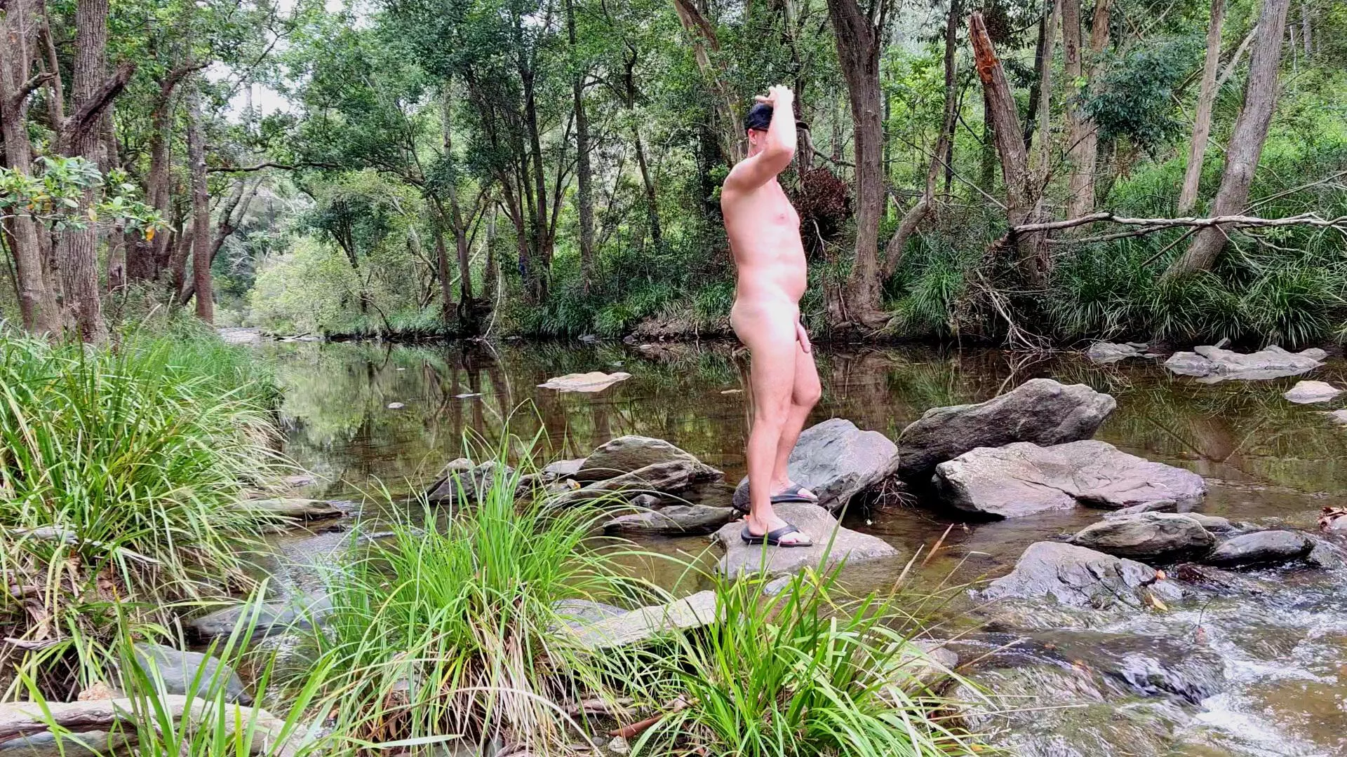 Beautiful secluded Rainforest creek