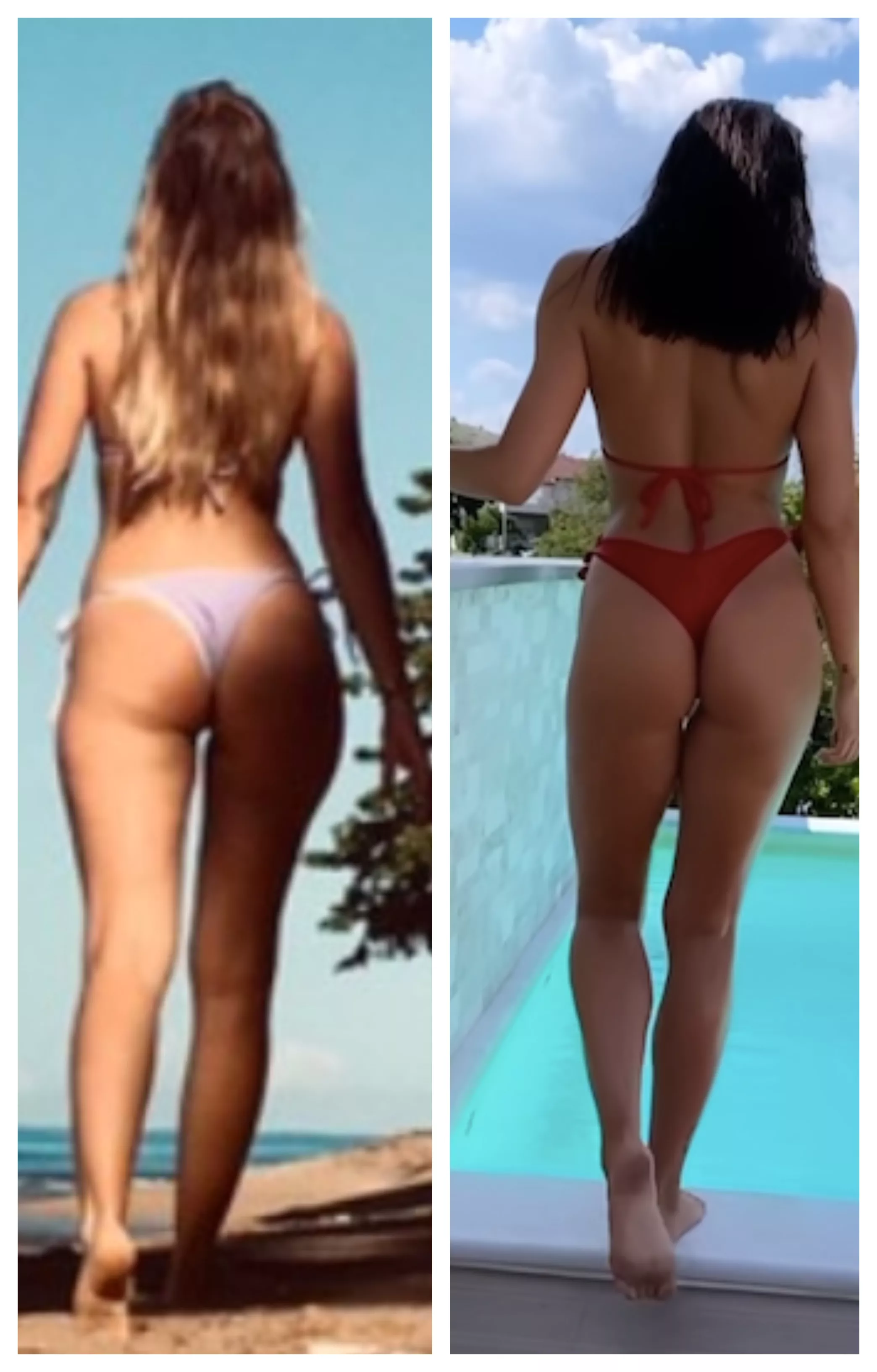 Blonde or Brunette ?