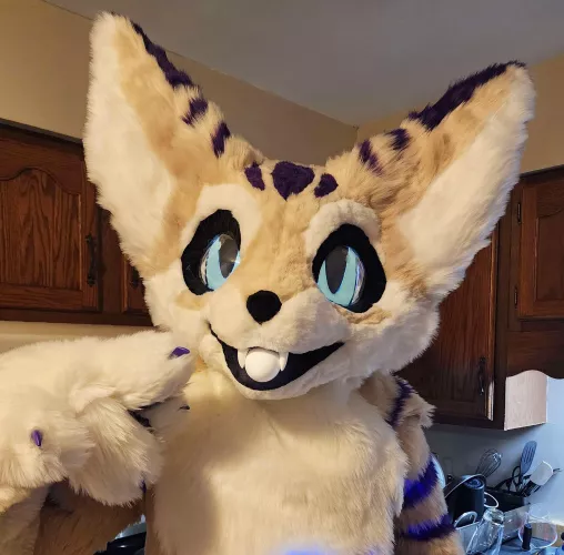 Can I offer you an egg in these trying times?