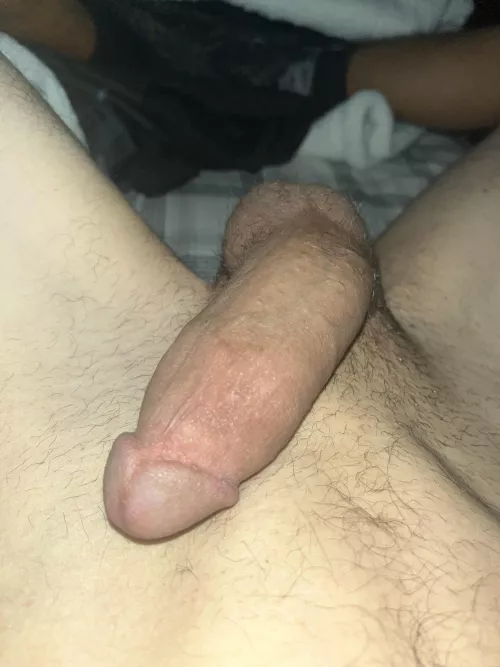 Can somebody make it hard in the dms ?