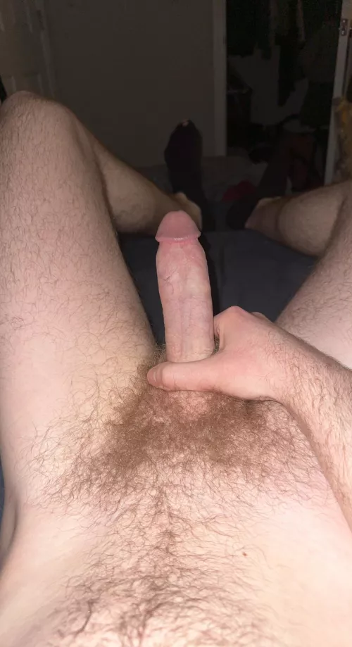 Do you like my college bush?