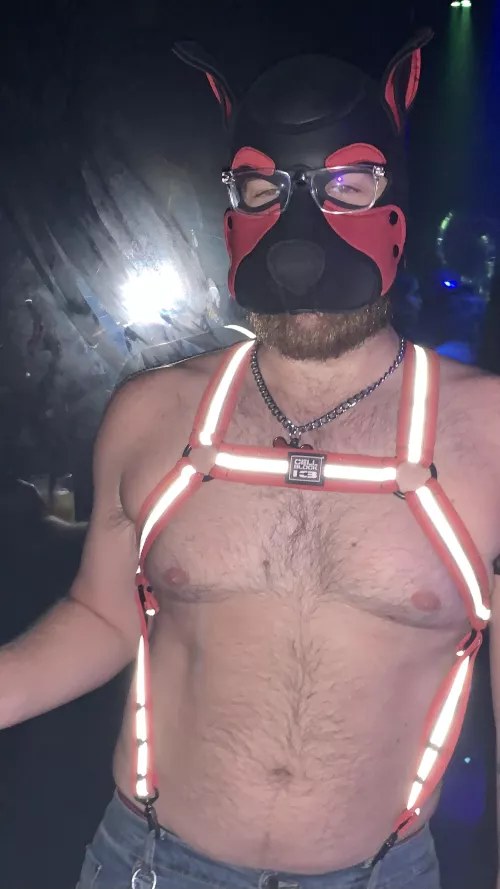 Feeling playful 😈🐾