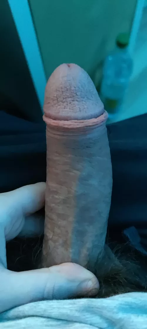 First Time posting here