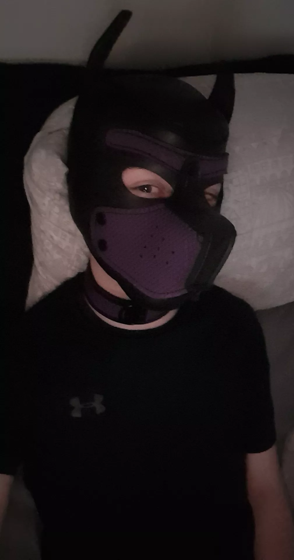 🐦 @GearTwink 🐶🐶