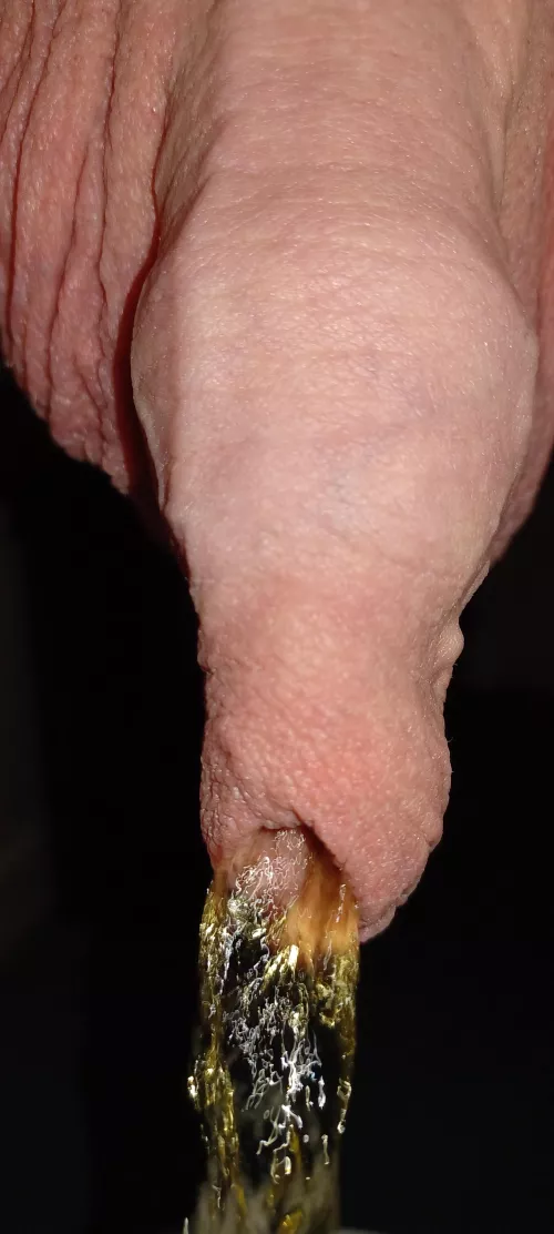 Golden piss in full flow