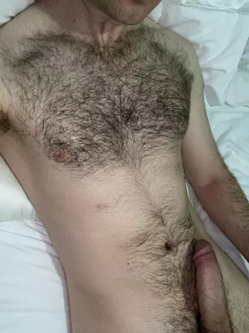 Hairy morning