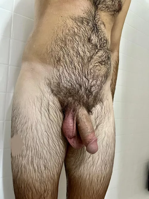 Hairy shower cock