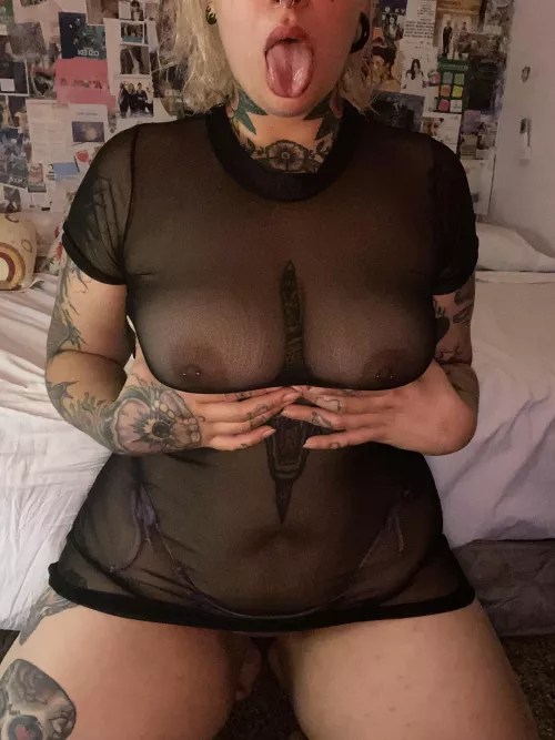 honestly the best tits you've ever seen